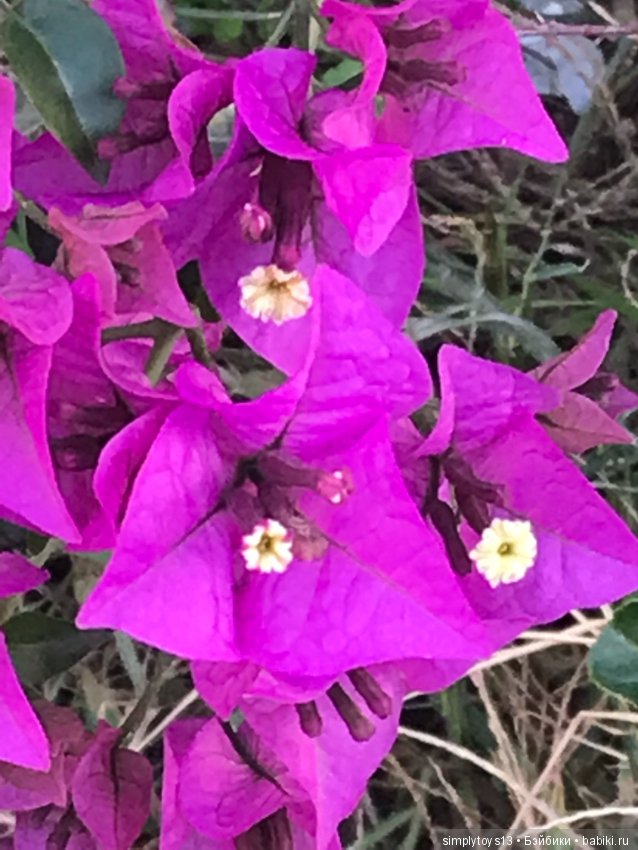 Путешествие Лиу — Туризм и путешествия: фотоотчеты из поездок