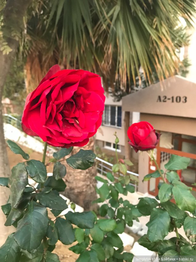 Путешествие Лиу — Туризм и путешествия: фотоотчеты из поездок