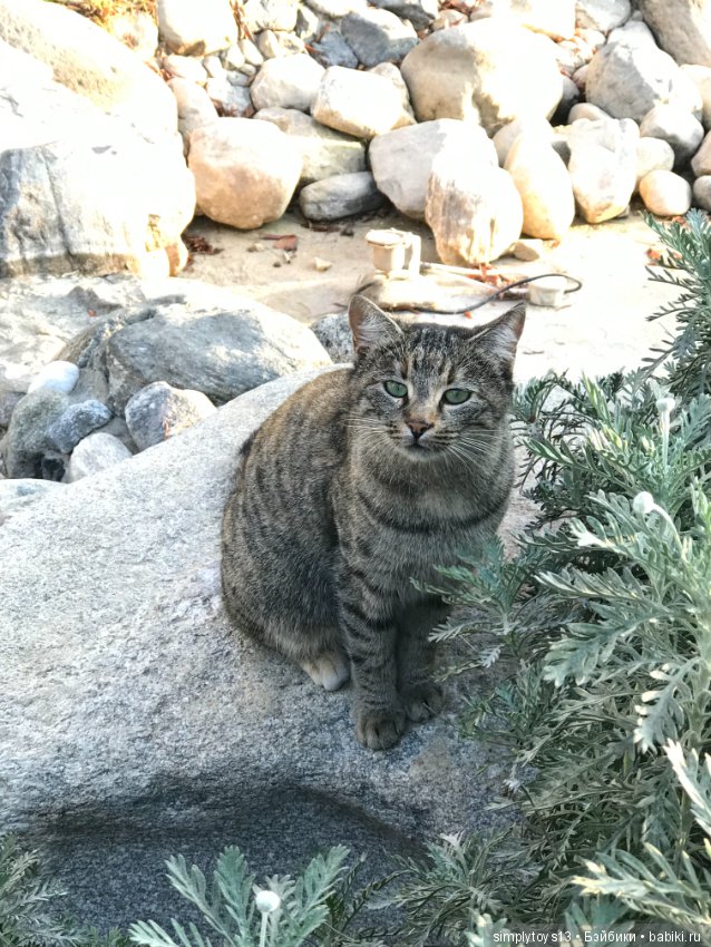 Путешествие Лиу — Туризм и путешествия: фотоотчеты из поездок (фото 9)