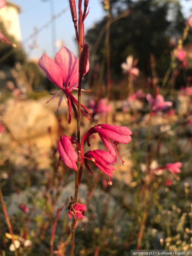 Путешествие Лиу — Туризм и путешествия: фотоотчеты из поездок (фото 8)