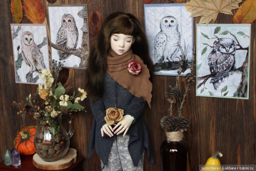 Файлин и Совиное Царство — Гибридизация кукол BJD (БЖД): пересадка головы