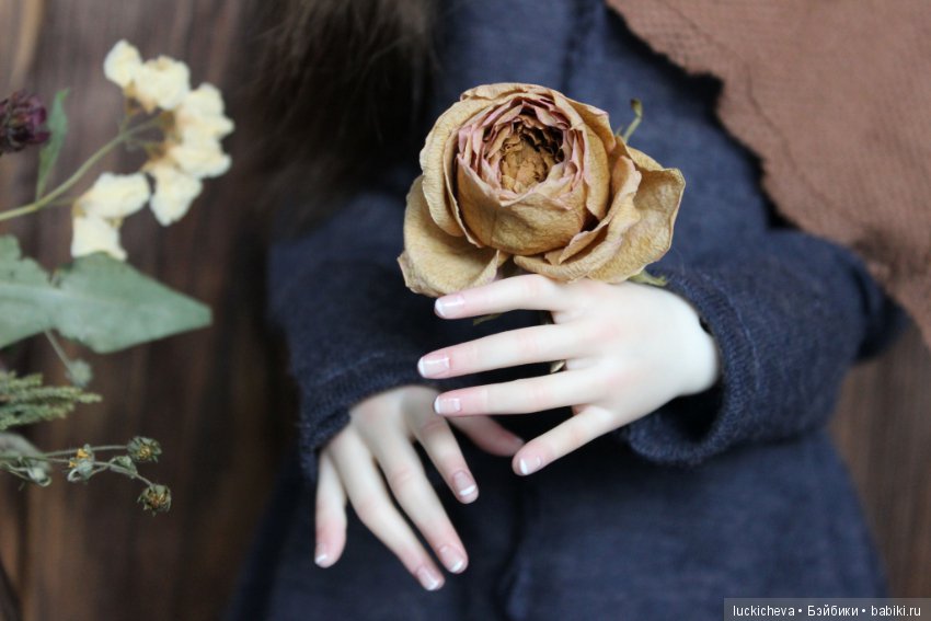 Файлин и Совиное Царство — Гибридизация кукол BJD (БЖД): пересадка головы (фото 10)