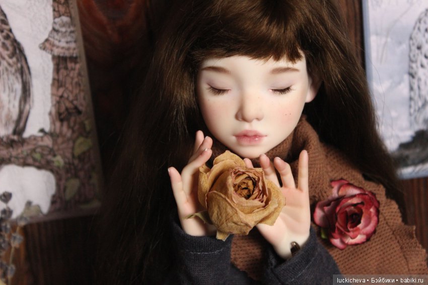 Файлин и Совиное Царство — Гибридизация кукол BJD (БЖД): пересадка головы