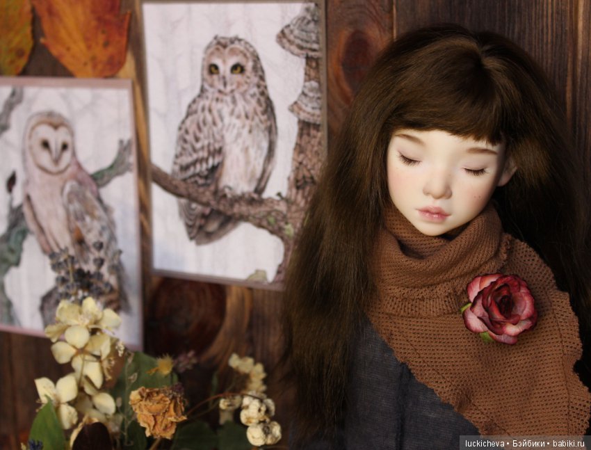 Файлин и Совиное Царство — Гибридизация кукол BJD (БЖД): пересадка головы