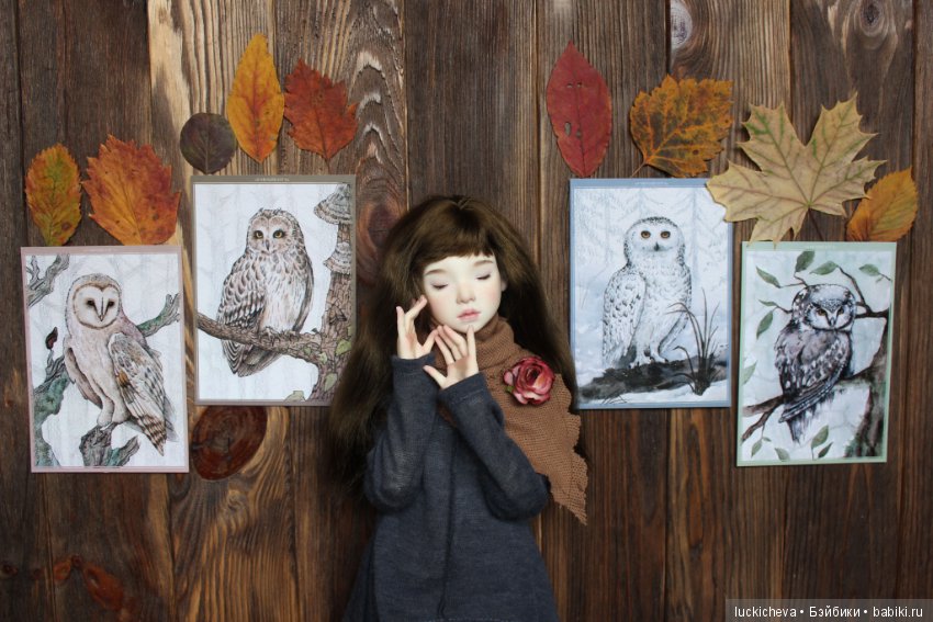 Файлин и Совиное Царство — Гибридизация кукол BJD (БЖД): пересадка головы