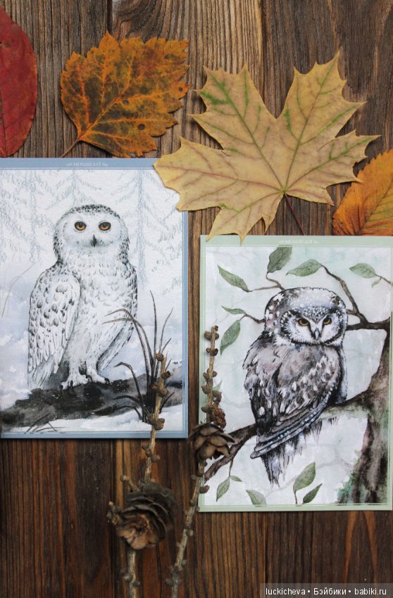 Файлин и Совиное Царство — Гибридизация кукол BJD (БЖД): пересадка головы (фото 9)