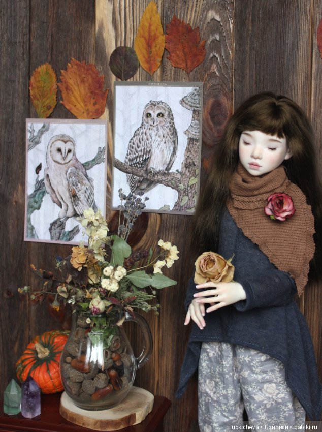 Файлин и Совиное Царство — Гибридизация кукол BJD (БЖД): пересадка головы