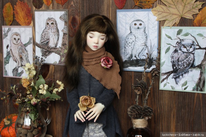 Файлин и Совиное Царство — Гибридизация кукол BJD (БЖД): пересадка головы