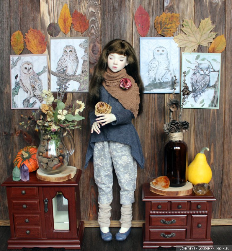 Файлин и Совиное Царство — Гибридизация кукол BJD (БЖД): пересадка головы