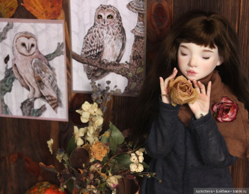 Файлин и Совиное Царство — Гибридизация кукол BJD (БЖД): пересадка головы