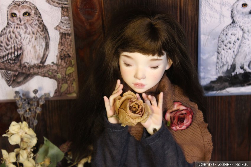 Файлин и Совиное Царство — Гибридизация кукол BJD (БЖД): пересадка головы