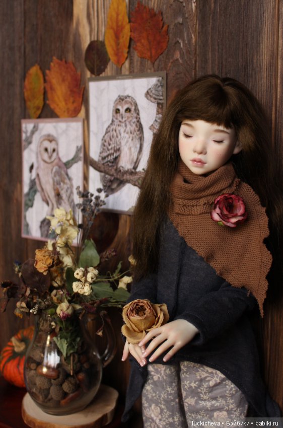 Файлин и Совиное Царство — Гибридизация кукол BJD (БЖД): пересадка головы