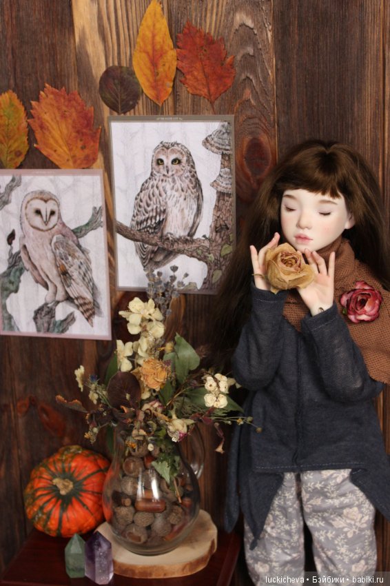 Файлин и Совиное Царство — Гибридизация кукол BJD (БЖД): пересадка головы