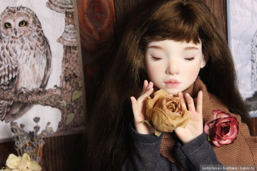 Файлин и Совиное Царство — Гибридизация кукол BJD (БЖД): пересадка головы