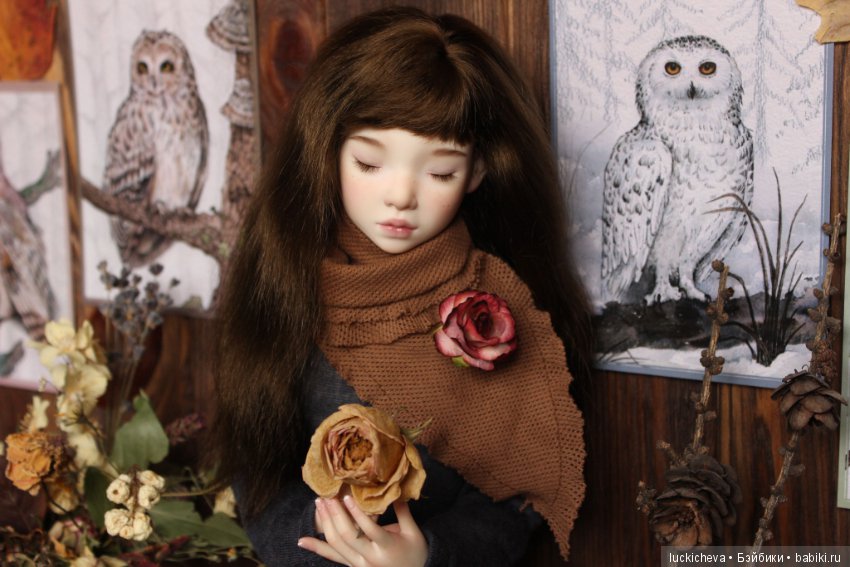 Файлин и Совиное Царство — Гибридизация кукол BJD (БЖД): пересадка головы