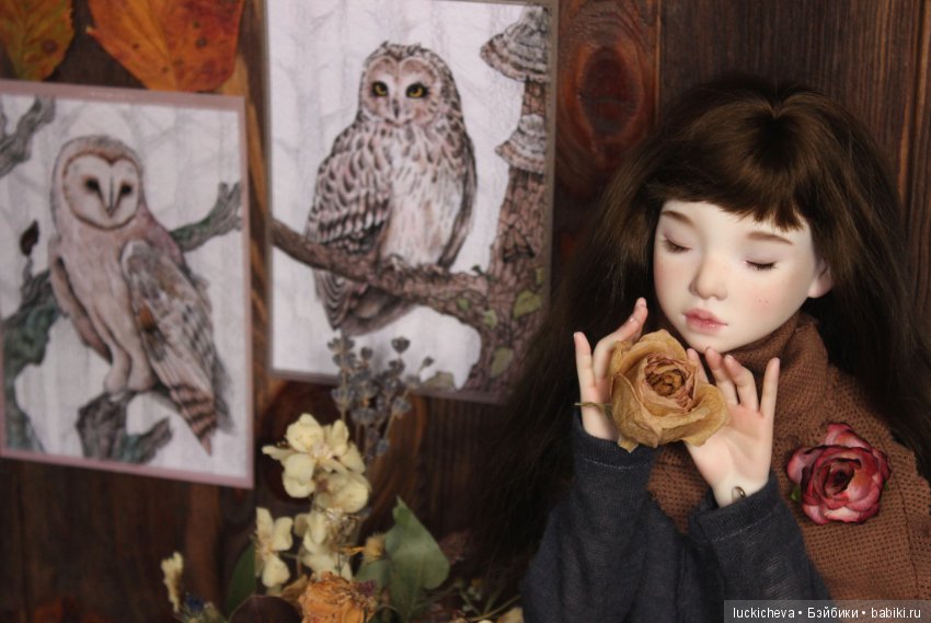 Файлин и Совиное Царство — Гибридизация кукол BJD (БЖД): пересадка головы