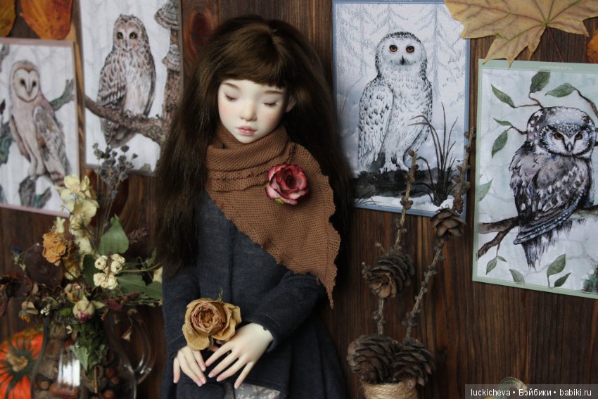 Файлин и Совиное Царство — Гибридизация кукол BJD (БЖД): пересадка головы