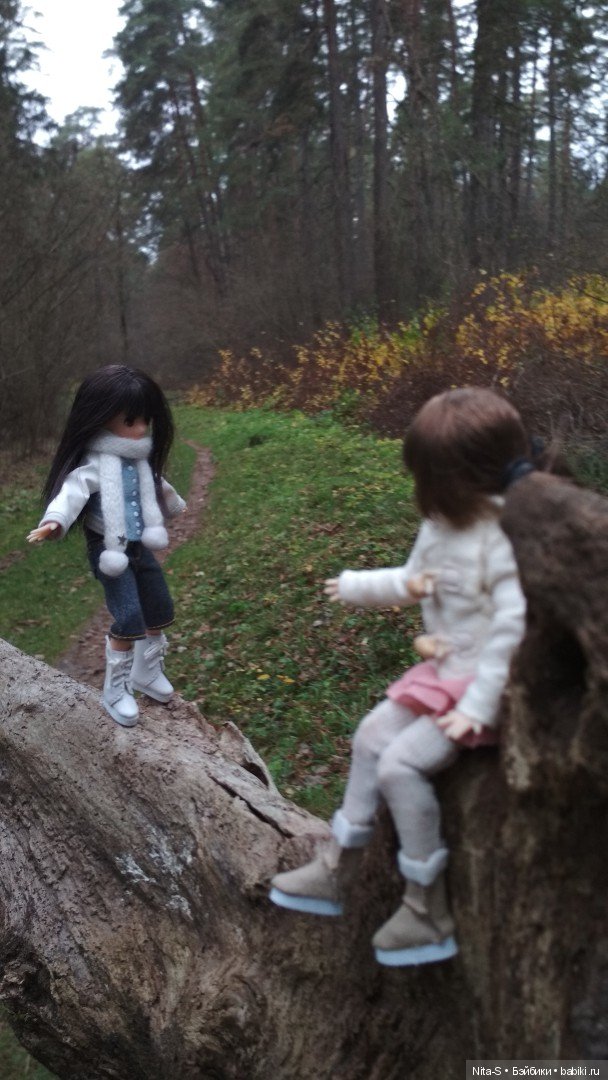 Осень в бору — Куклы Azone (Азон) и тела Pure Neemo: фото