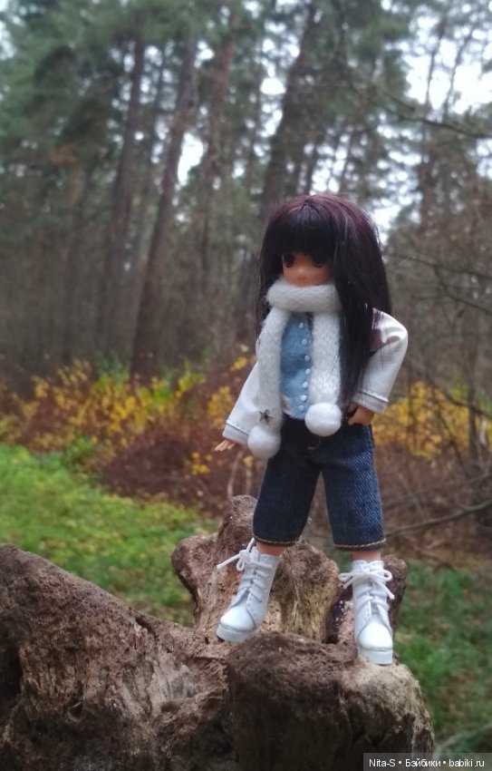 Осень в бору — Куклы Azone (Азон) и тела Pure Neemo: фото