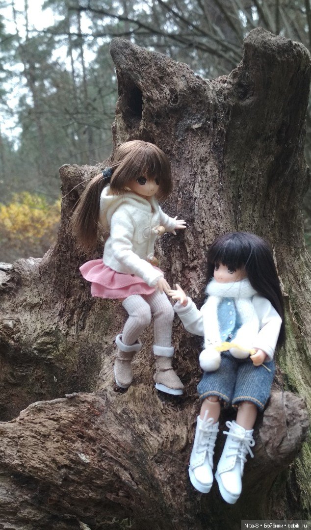 Осень в бору — Куклы Azone (Азон) и тела Pure Neemo: фото