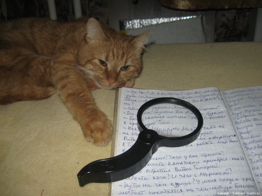 Мечта. В синем автобусе. 18+