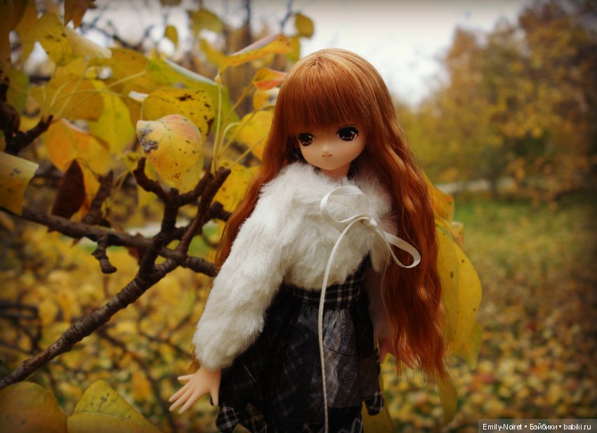 Lien Angelic Sigh II — Аниме куклы (MJD/Винил): Imomo