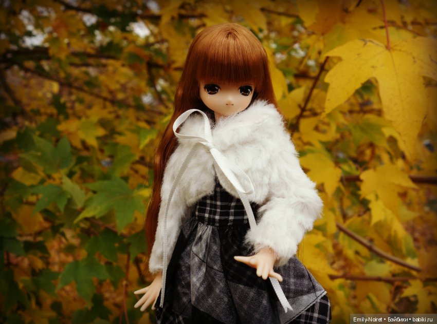 Lien Angelic Sigh II — Аниме куклы (MJD/Винил): Imomo (фото 8)