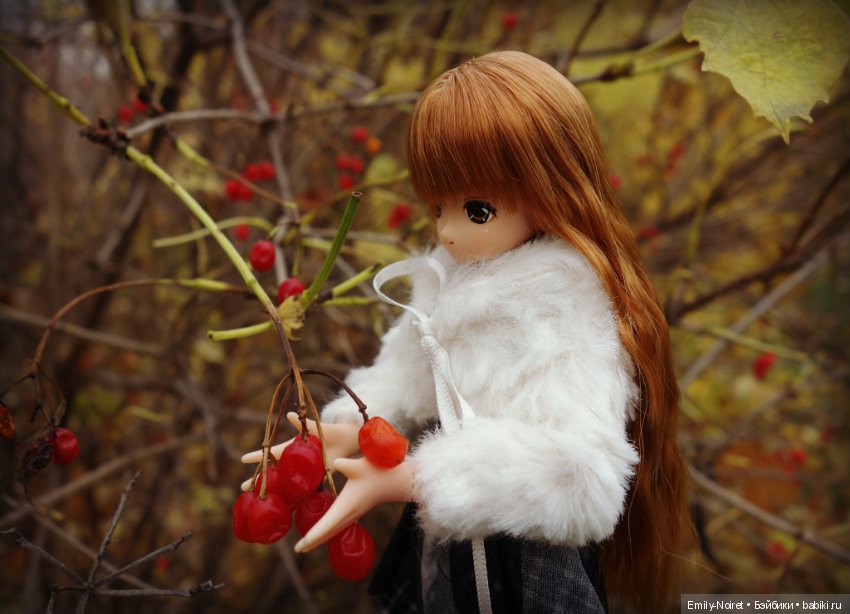 Lien Angelic Sigh II — Аниме куклы (MJD/Винил): Imomo