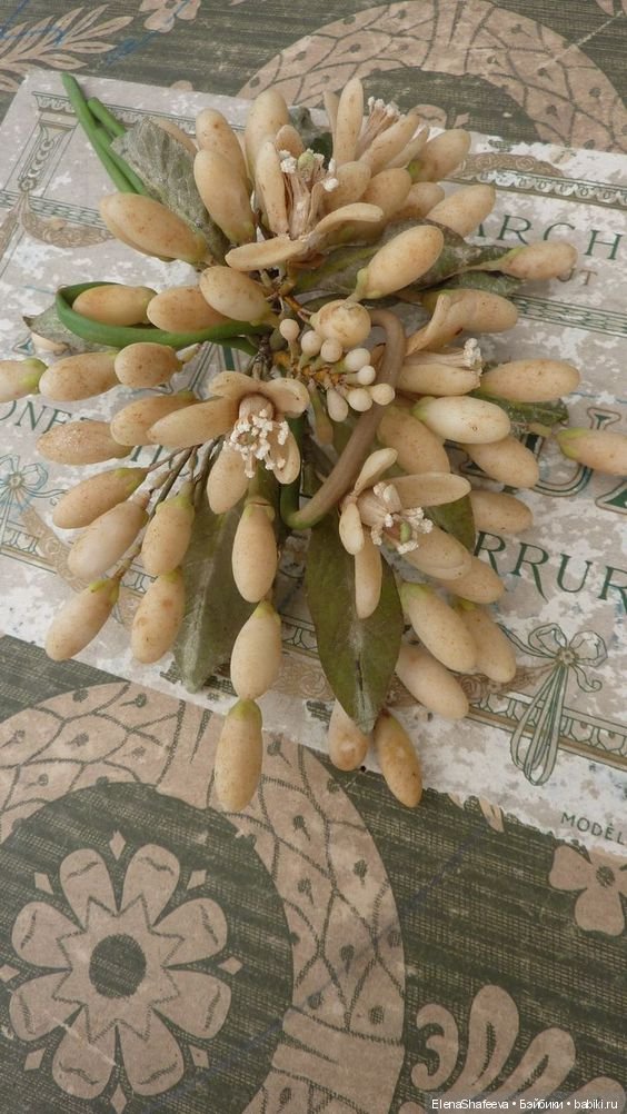 Антикварные восковые цветы (фото 8)