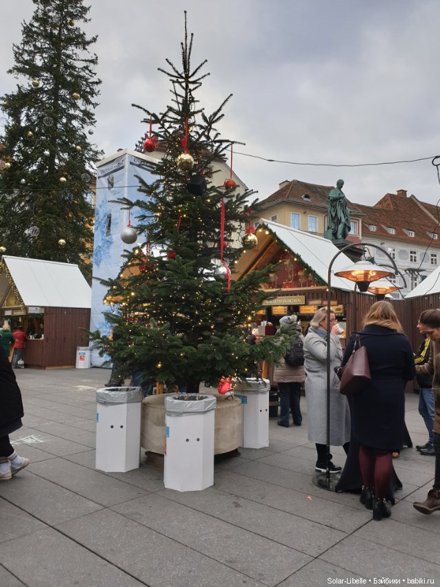 Мои новенькие и предновогодний Грац