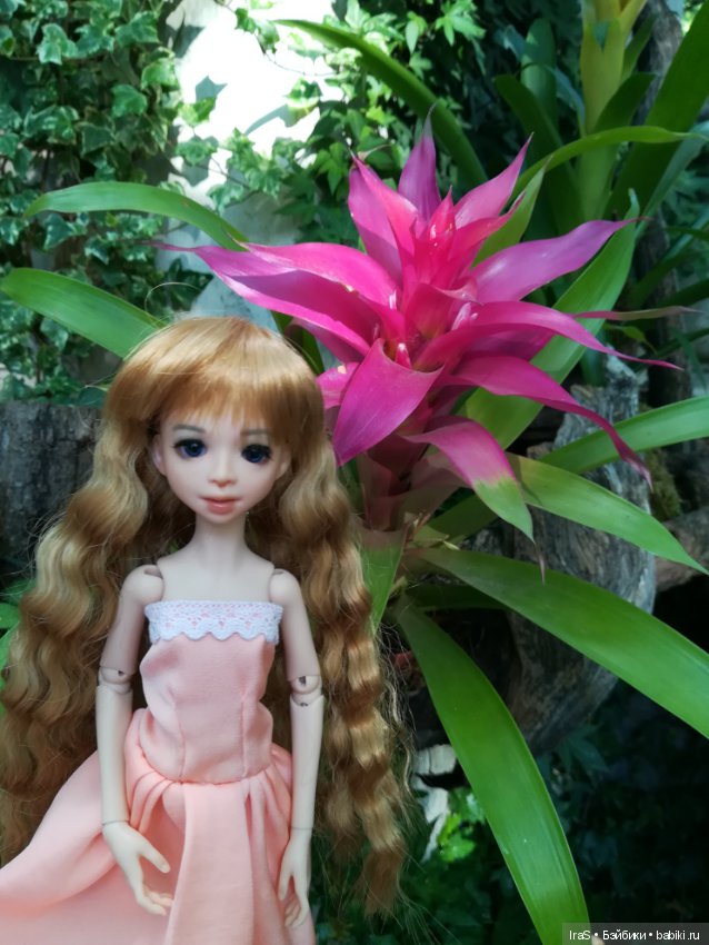 Просто фотографии — Болталка и разговоры обо всем: жизнь (фото 2)