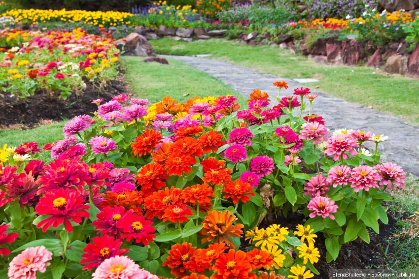 И еще немного о цветах — Красивая природа и цветы: фото пейзажей (фото 2)