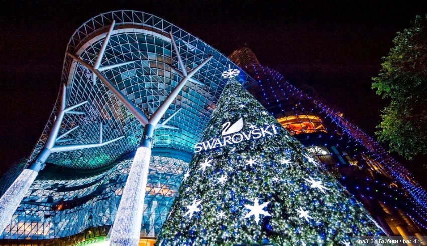 КРЫСмас приближается — Болталка и разговоры обо всем: жизнь