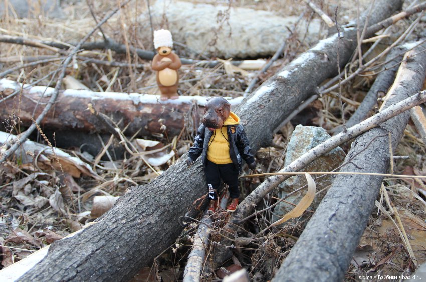 Знакомство с зимой — Коллекционные экшн (фото 9)