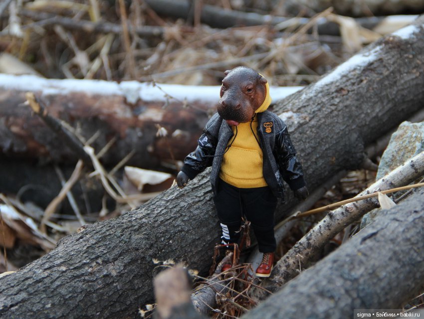 Знакомство с зимой — Коллекционные экшн (фото 6)