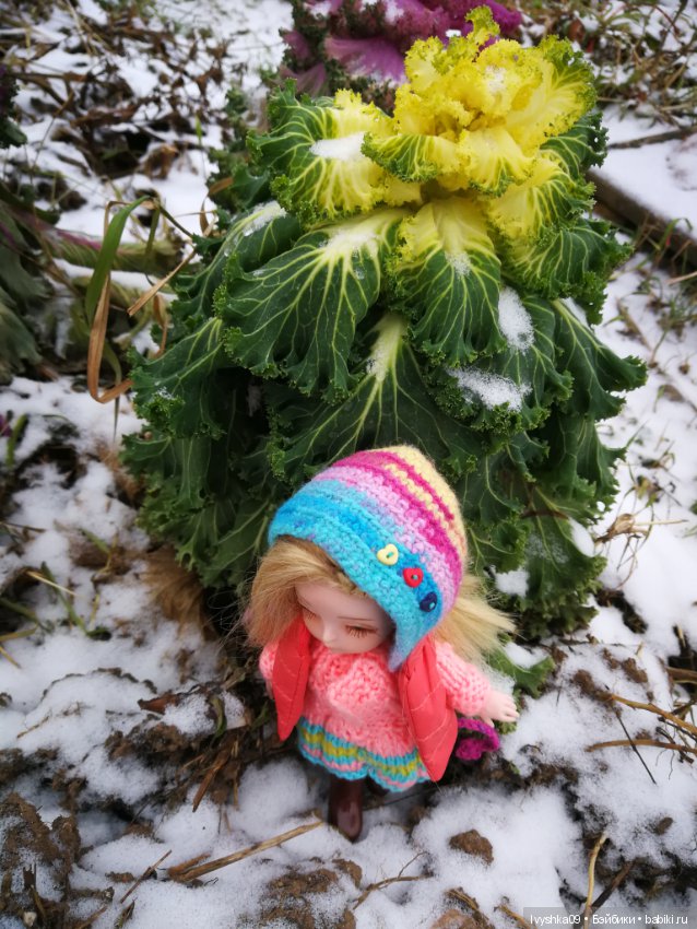 Эми, Ёлка и поход в лес — Разные шарнирные куклы (не БЖД): редкие (фото 5)