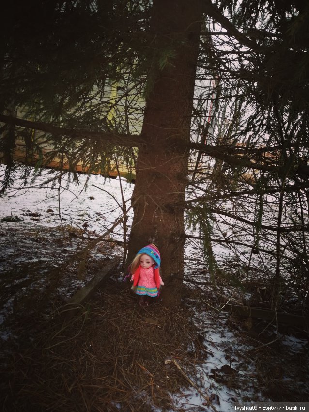 Эми, Ёлка и поход в лес — Разные шарнирные куклы (не БЖД): редкие (фото 2)