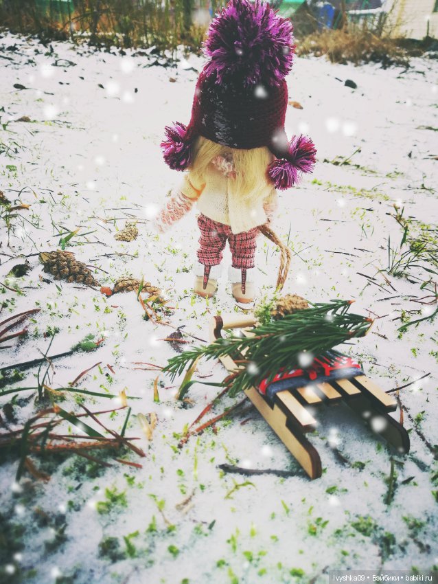 Эми, Ёлка и поход в лес — Разные шарнирные куклы (не БЖД): редкие (фото 9)