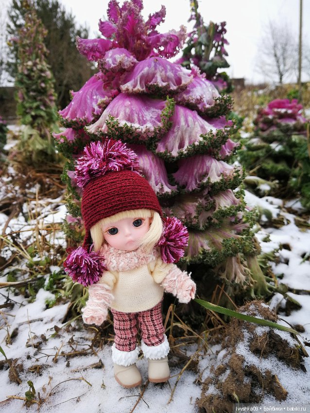 Эми, Ёлка и поход в лес — Разные шарнирные куклы (не БЖД): редкие (фото 3)