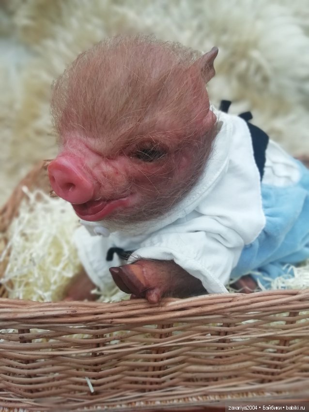 Хрюня - кукла реборн Рязановой Елены (фото 3)