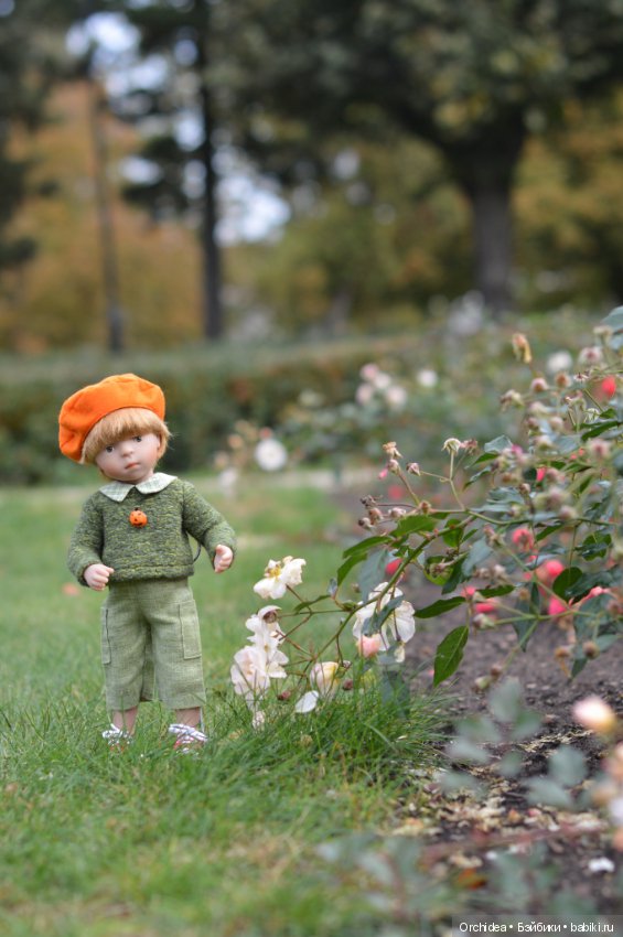 Фабиан. Осенние прогулки. Минуш Кате Крузе (фото 3)