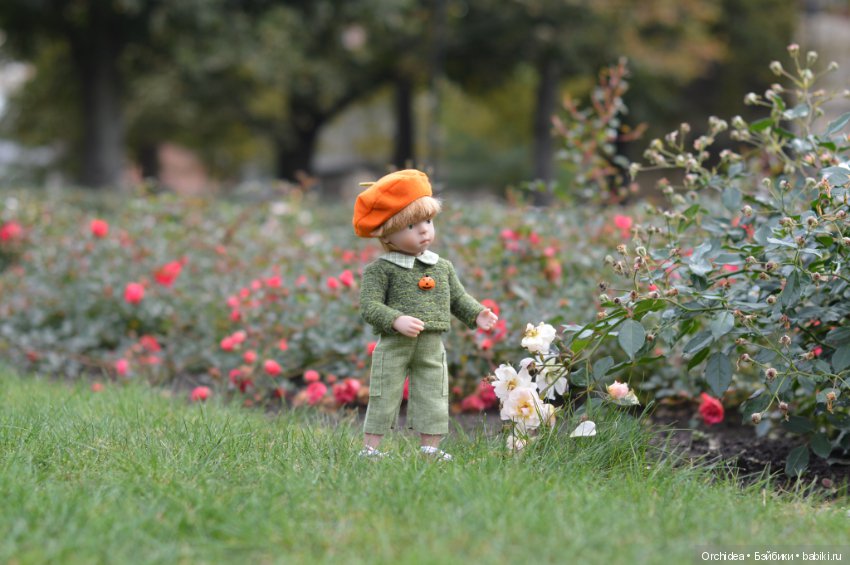 Фабиан. Осенние прогулки. Минуш Кате Крузе (фото 2)