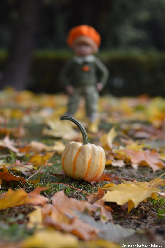 Фабиан. Осенние прогулки. Минуш Кате Крузе