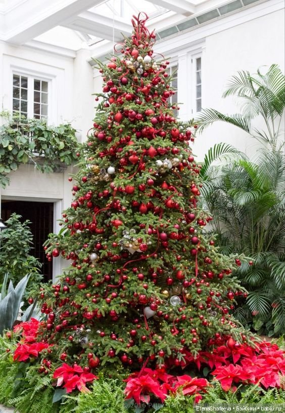 Красавицы Новогодние Елочки! Вдохновляемся (фото 6)