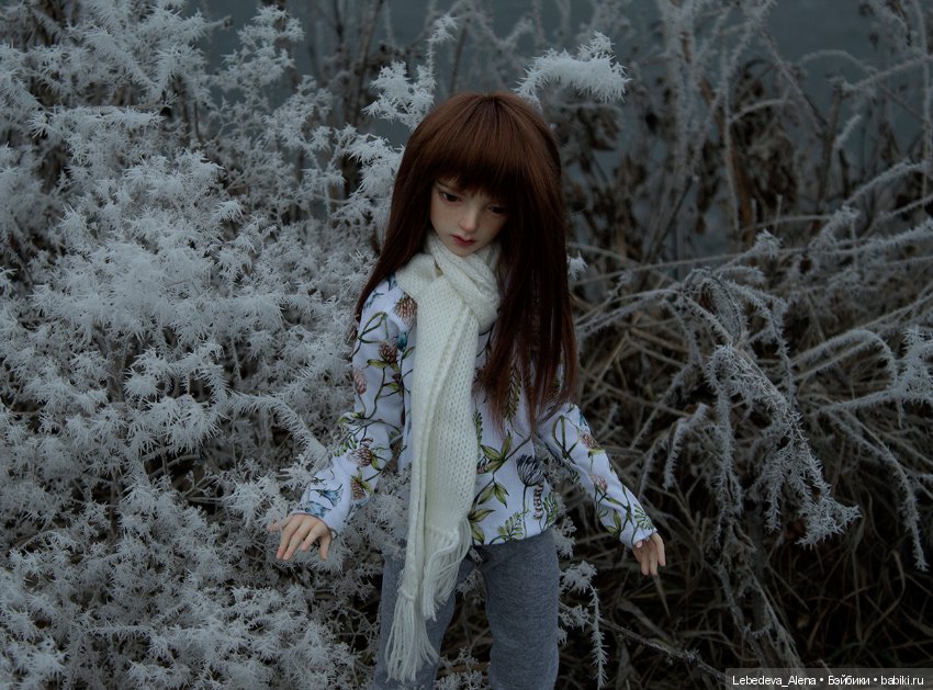 Декабрьская история от Марты (фото 2)