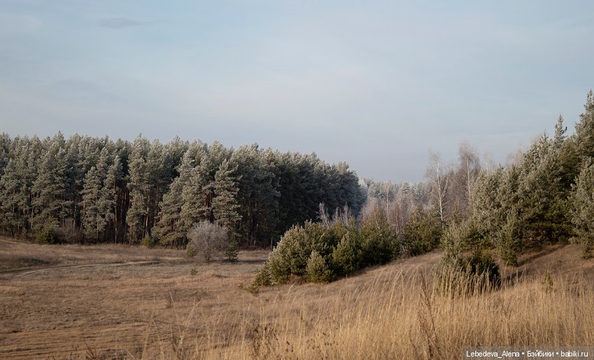 Марта и зима. Часть 2 - новые глаза (фото 2)