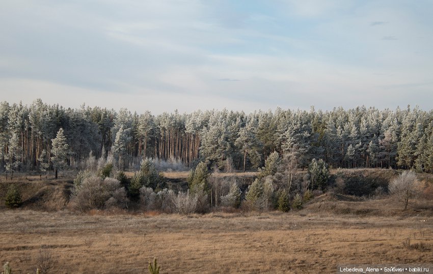Марта и зима. Часть 2 - новые глаза