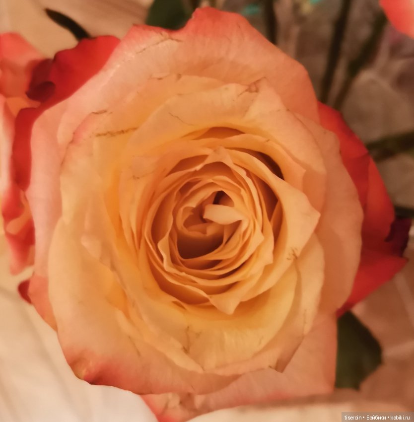 Немного фото с елочки — Интересные игрушки и фигурки (разное): редкие