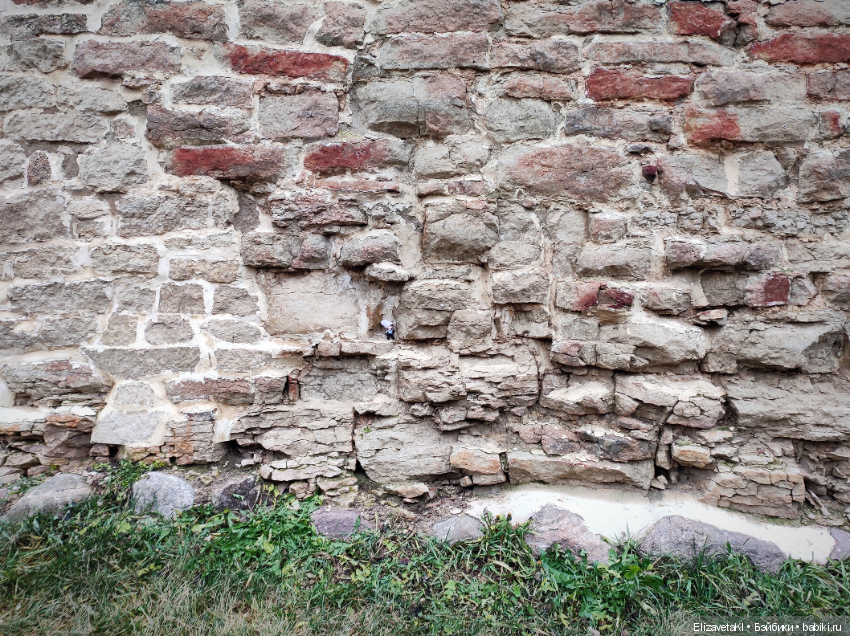 В поисках елки. Realpuki. 67 часть