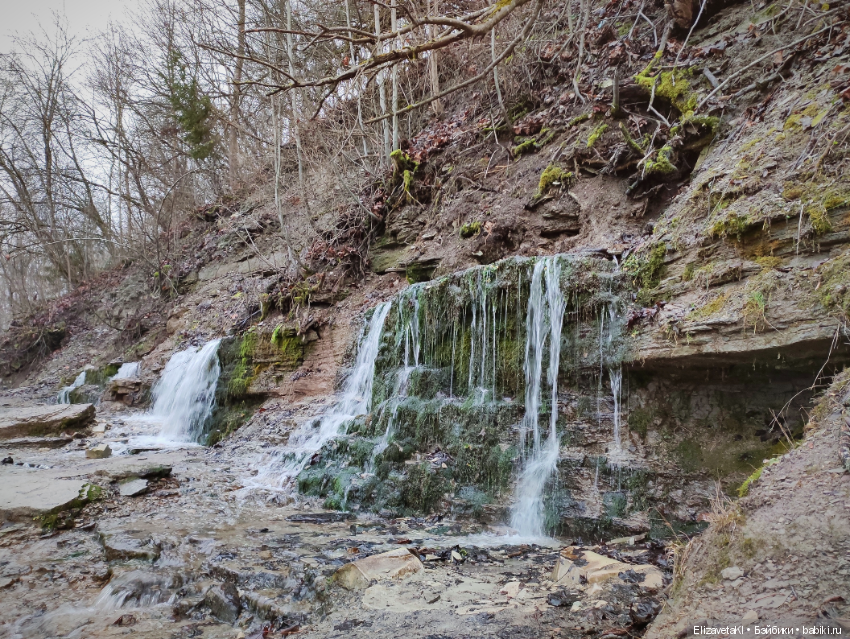 В поисках елки. Realpuki. 67 часть